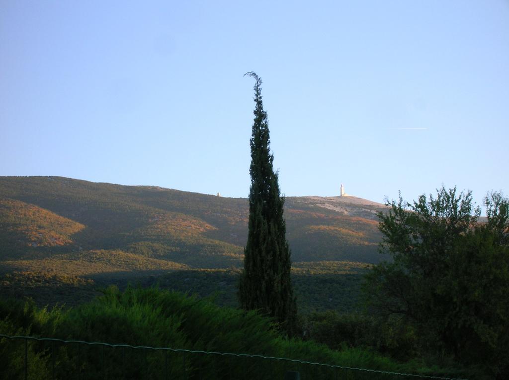 Le Mas Des Baux Bédoin Exteriör bild